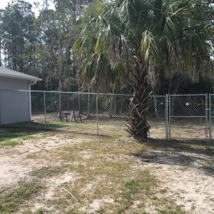 chain link fence