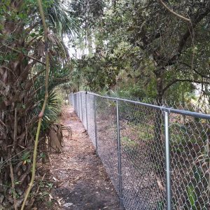 chain link fence